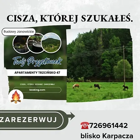 Apartamento Trzcinsko 47